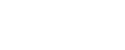 Custom Dealer Solutions