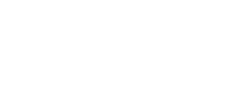Lilly Lashes