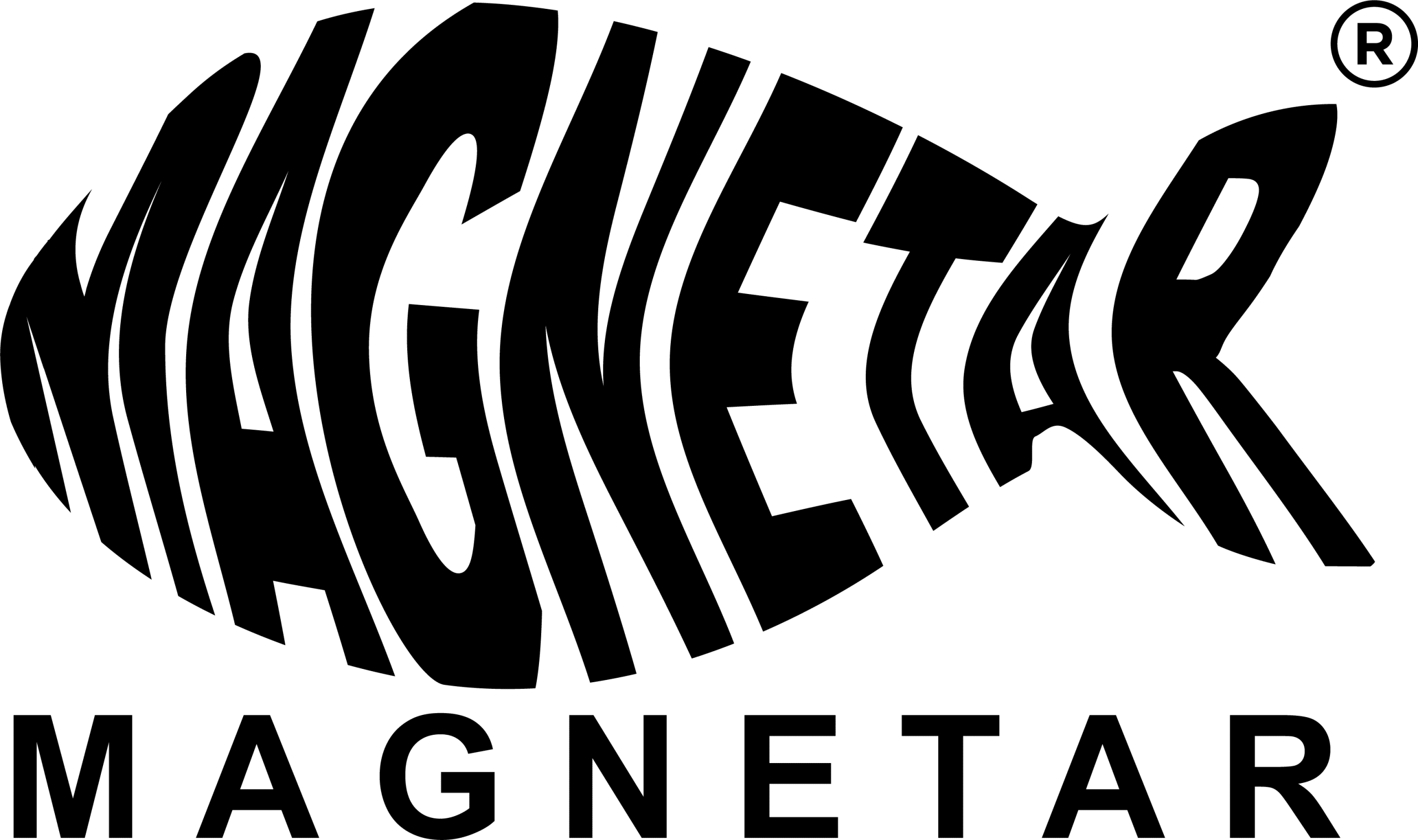 Magnetarvismagneet.nl