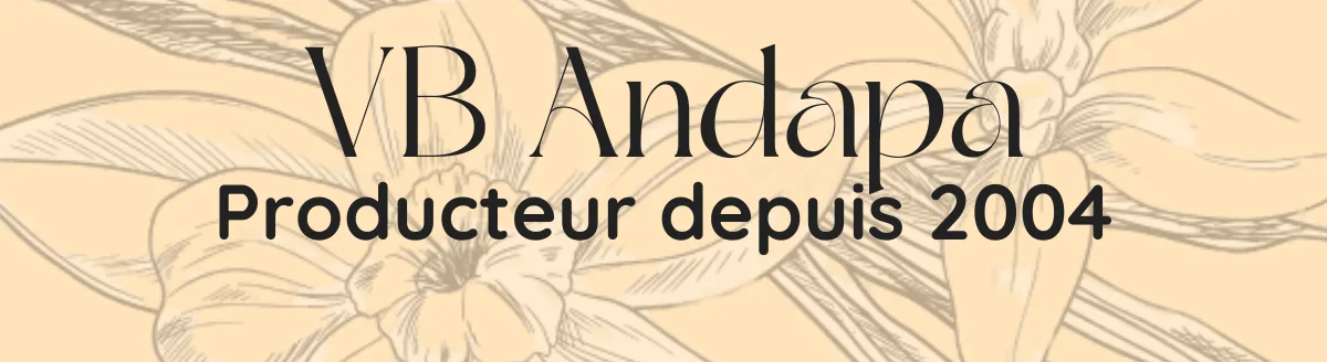 VB Andapa