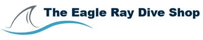 Eagle Ray Dive