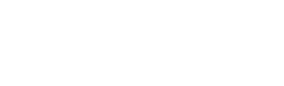 Flow Force Max