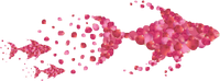 Pink Fishes