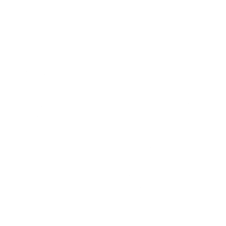 The Pink Pig