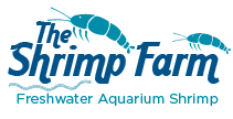 The Shrimp Farm