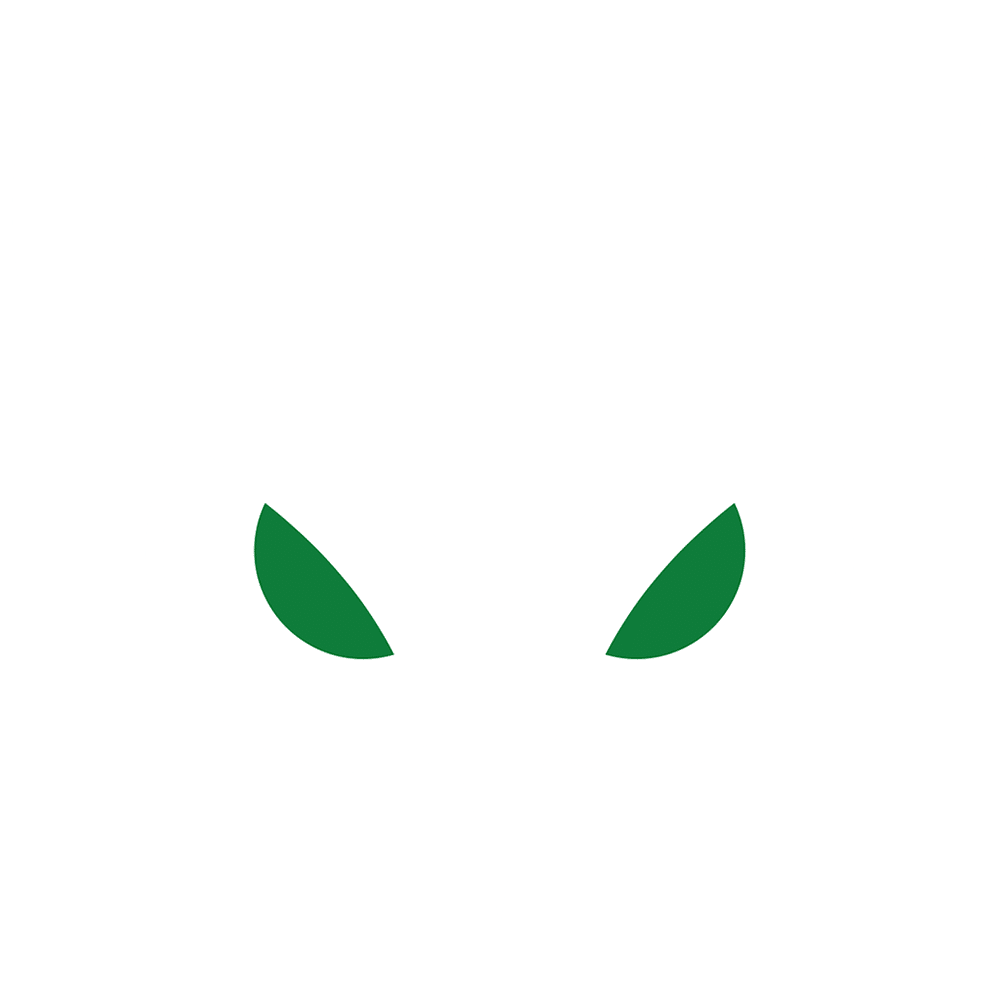 Usnighthawk